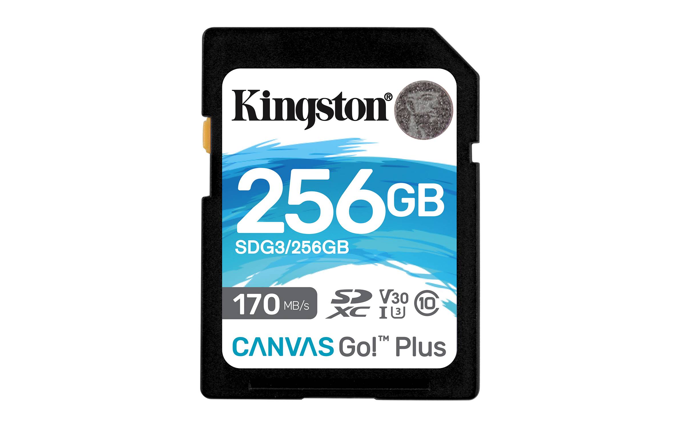 Rca Informatique - image du produit : 256GB SDXC CANVAS GO PLUS 170R C10 UHS-I U3 V30