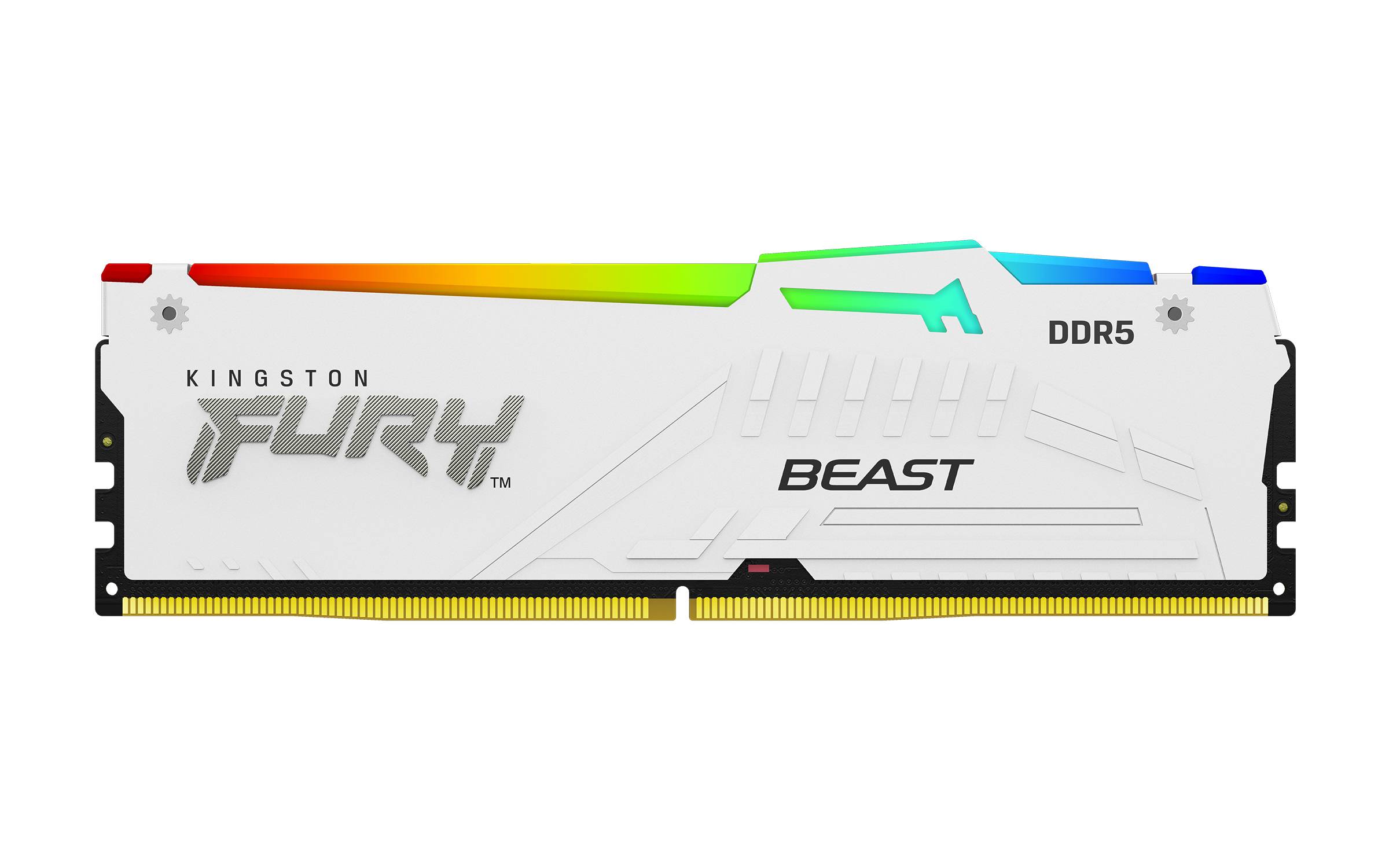 Rca Informatique - image du produit : 32GB DDR5-6000MT/S CL40 DIMM (KIT OF 2) BEAST WHITE RGB XMP