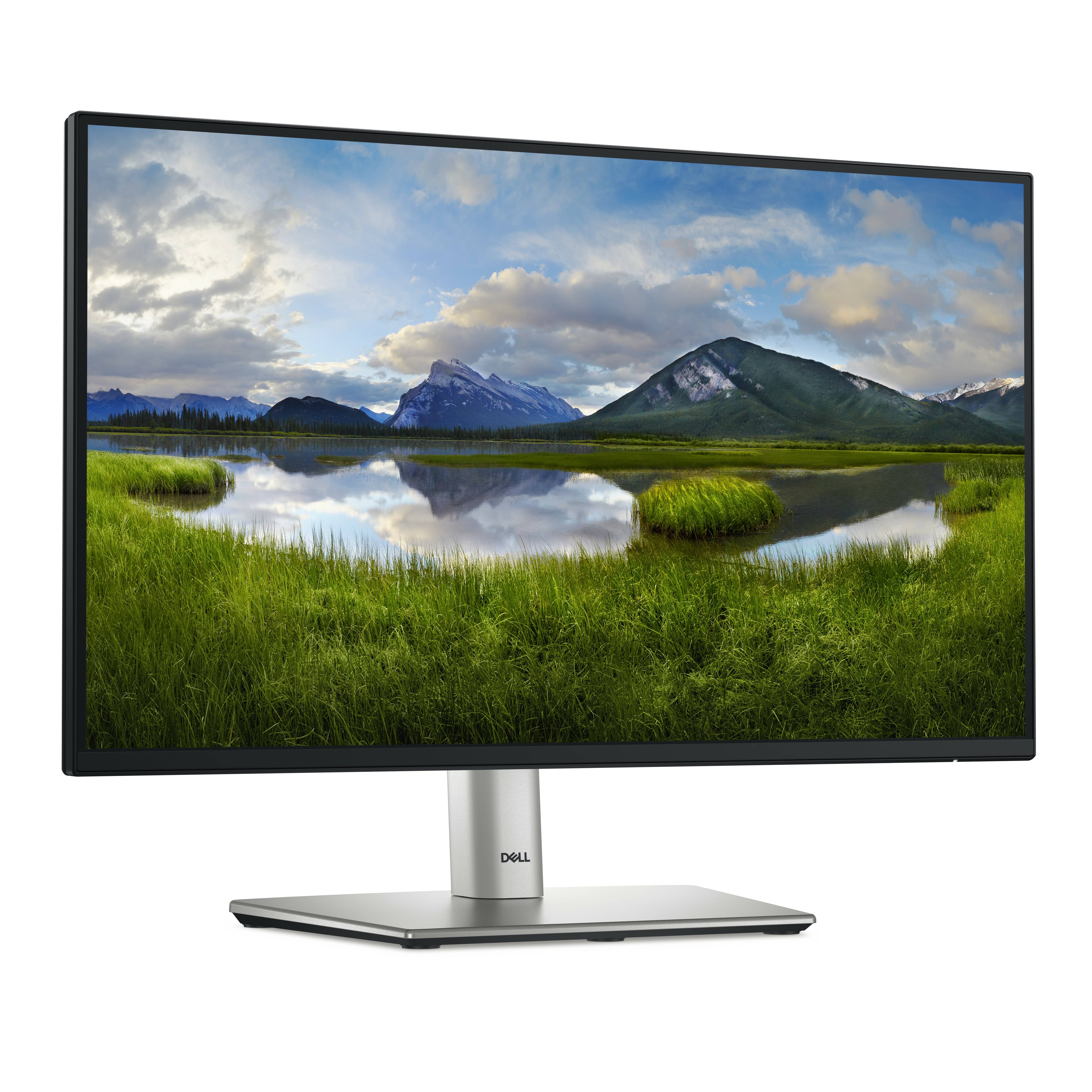 Rca Informatique - image du produit : DELL 22 MONITOR - P2225H