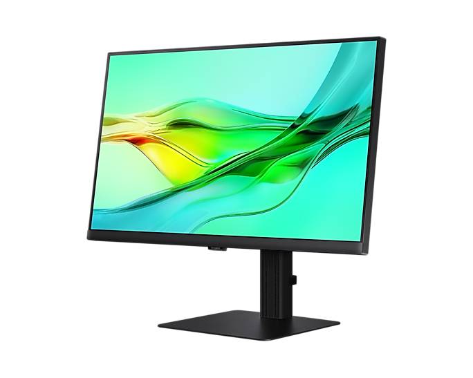 Rca Informatique - image du produit : LS24D600UAUXEN 23.8IN IPS QHD 300CD/HDMI/DP/3USB/USB-C/HAS