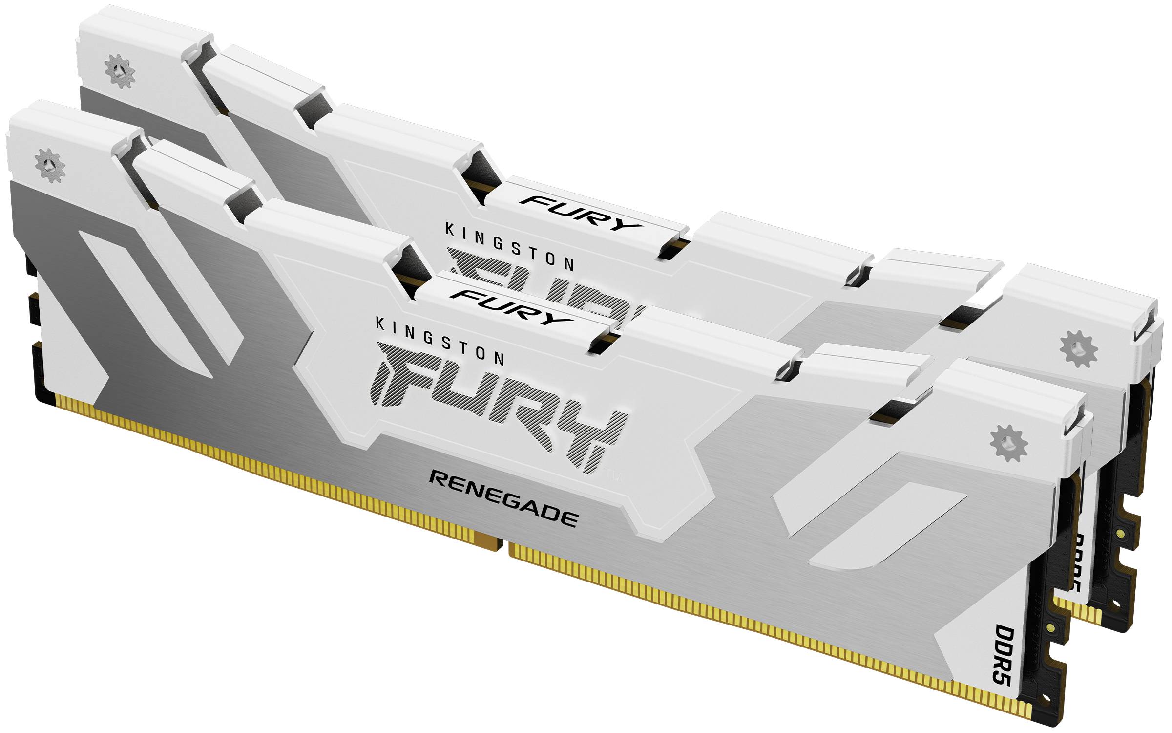 Rca Informatique - Image du produit : 64GB DDR5-6000MT/S CL32 DIMM (KIT OF 2) RENEGADE WHITE XMP