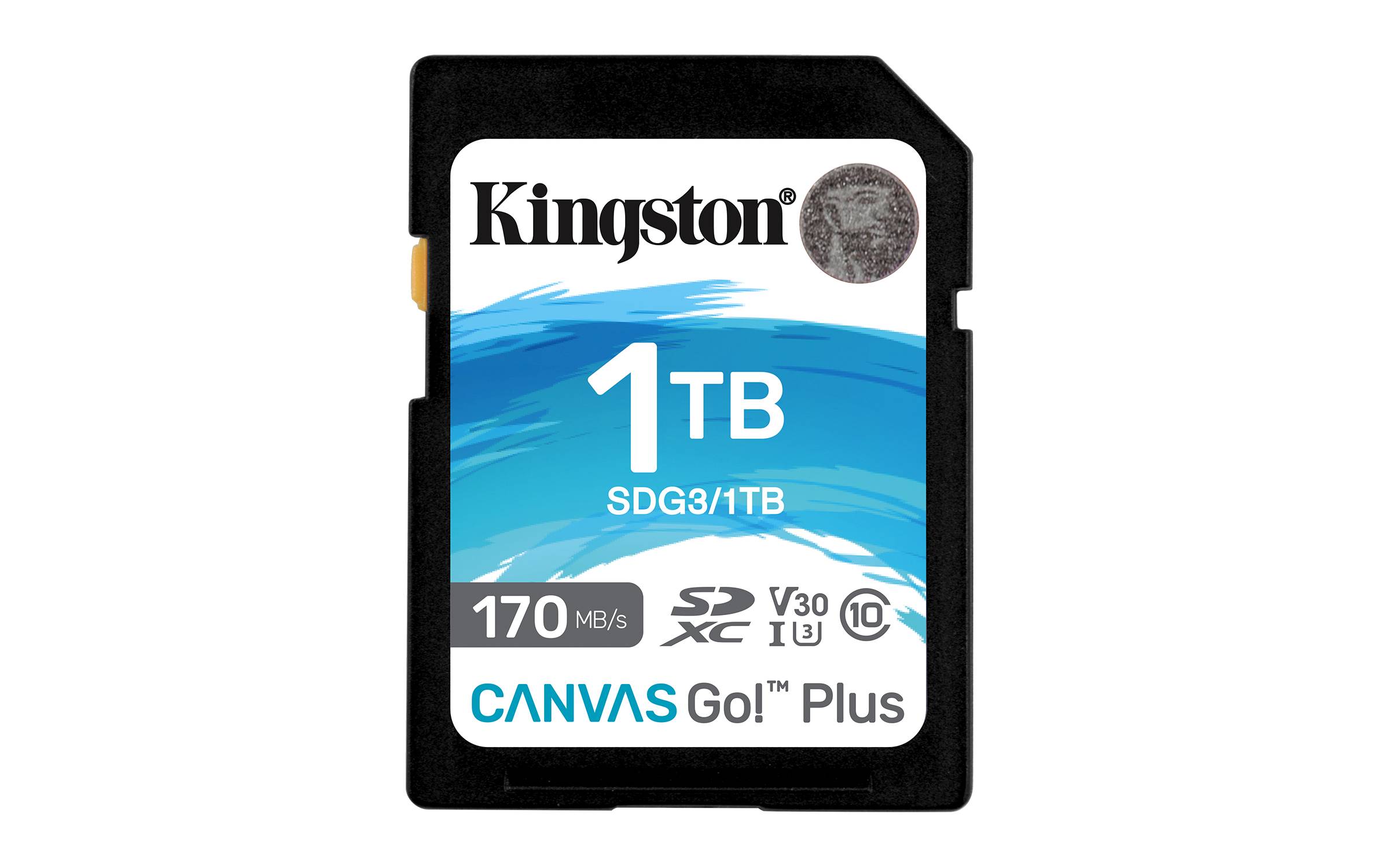 Rca Informatique - image du produit : 1TB SDXC CANVAS GO PLUS 170R C10 UHS-I U3 V30