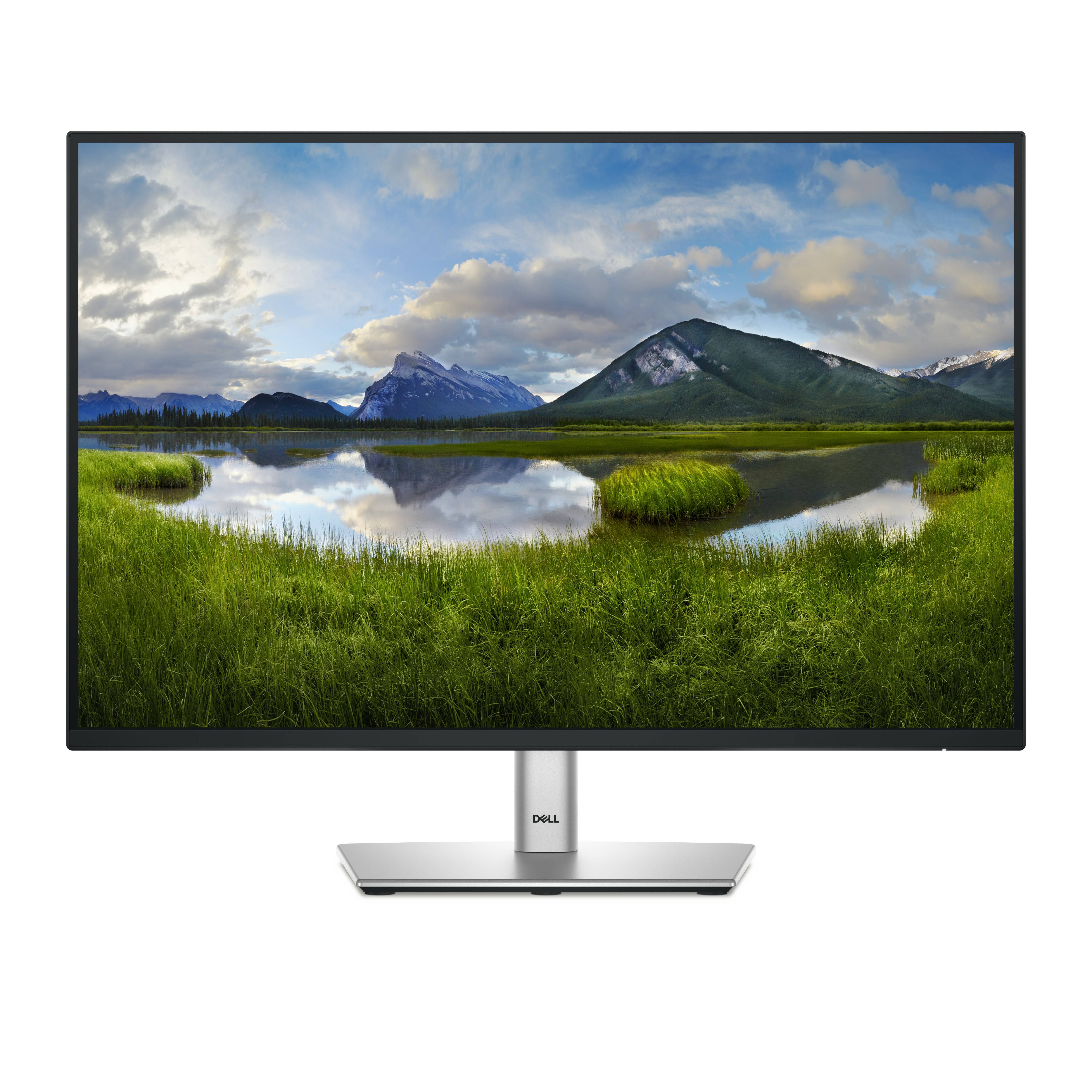 Rca Informatique - Image du produit : DELL 24 MONITOR - P2425