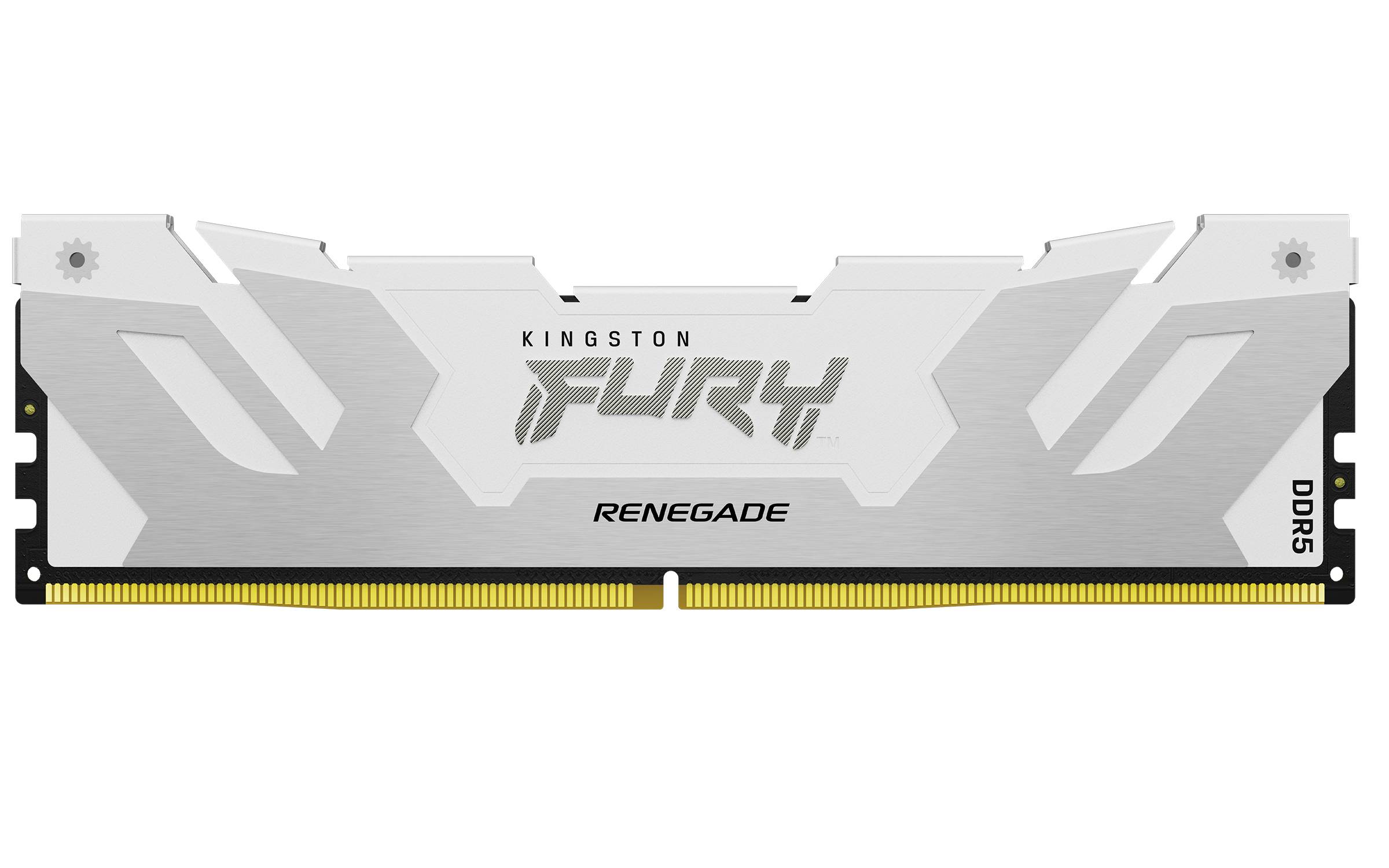 Rca Informatique - image du produit : 64GB DDR5-6400MT/S CL32 DIMM (KIT OF 2)  RENEGADE WHITE XMP