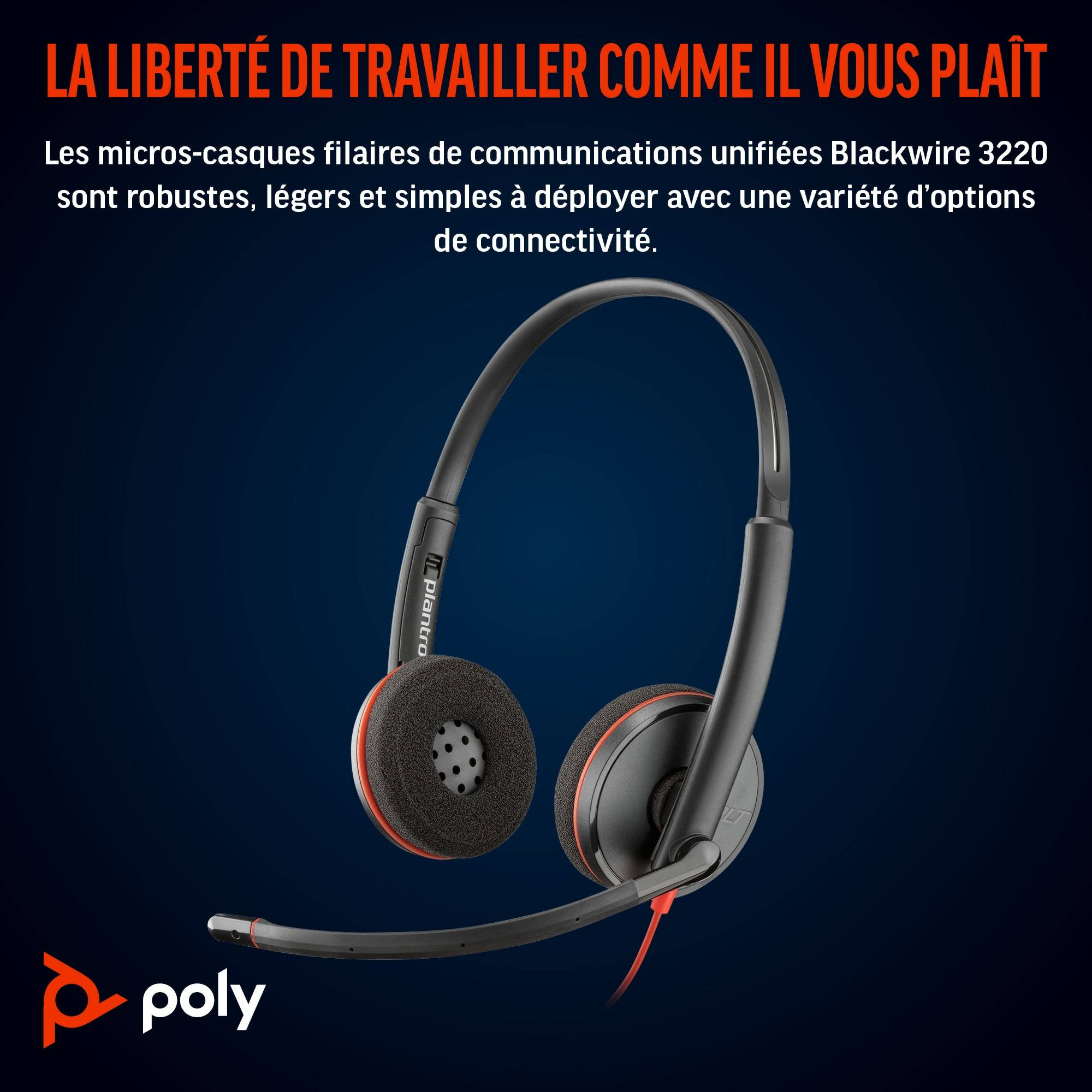 Rca Informatique - image du produit : POLY BW 3220 STEREO USB-C HS +USB-C/A