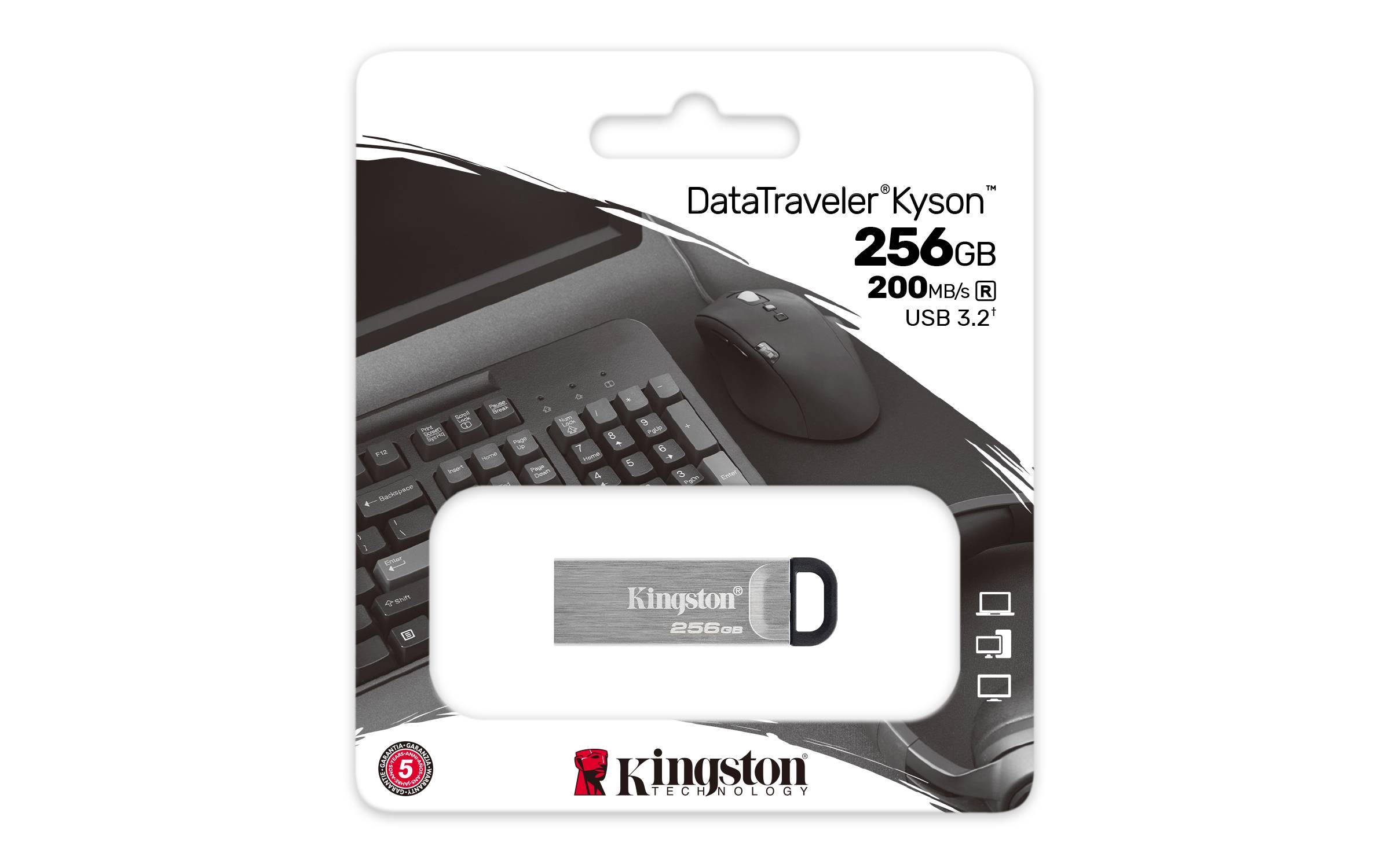 Rca Informatique - image du produit : 256GB USB3.2 DATATRAVELER KYSON GEN 1